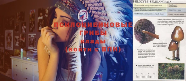 2c-b Рославль